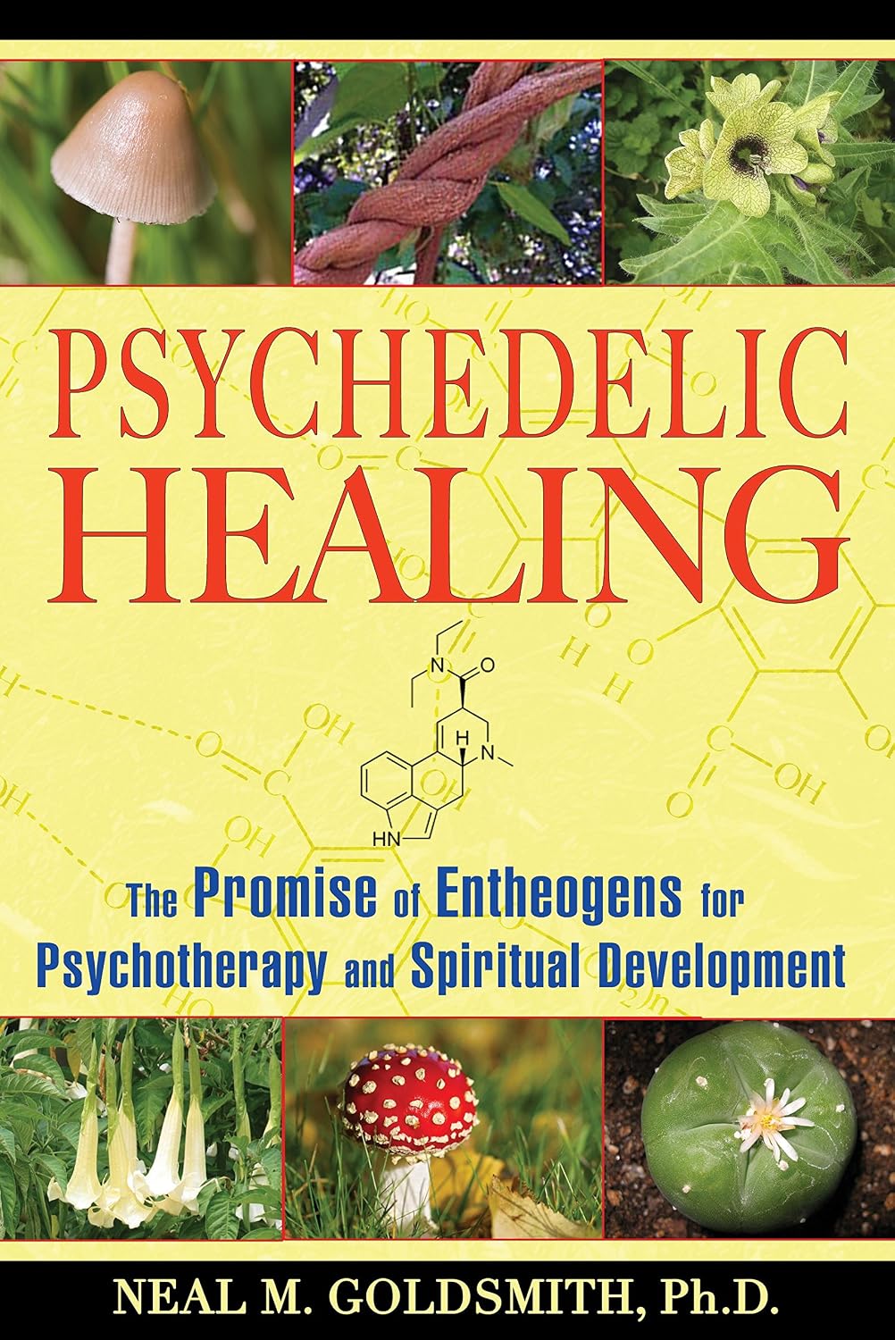 Psychedelic Healing The Promise Of Entheogens For Psychotherapy And Spiritual Development