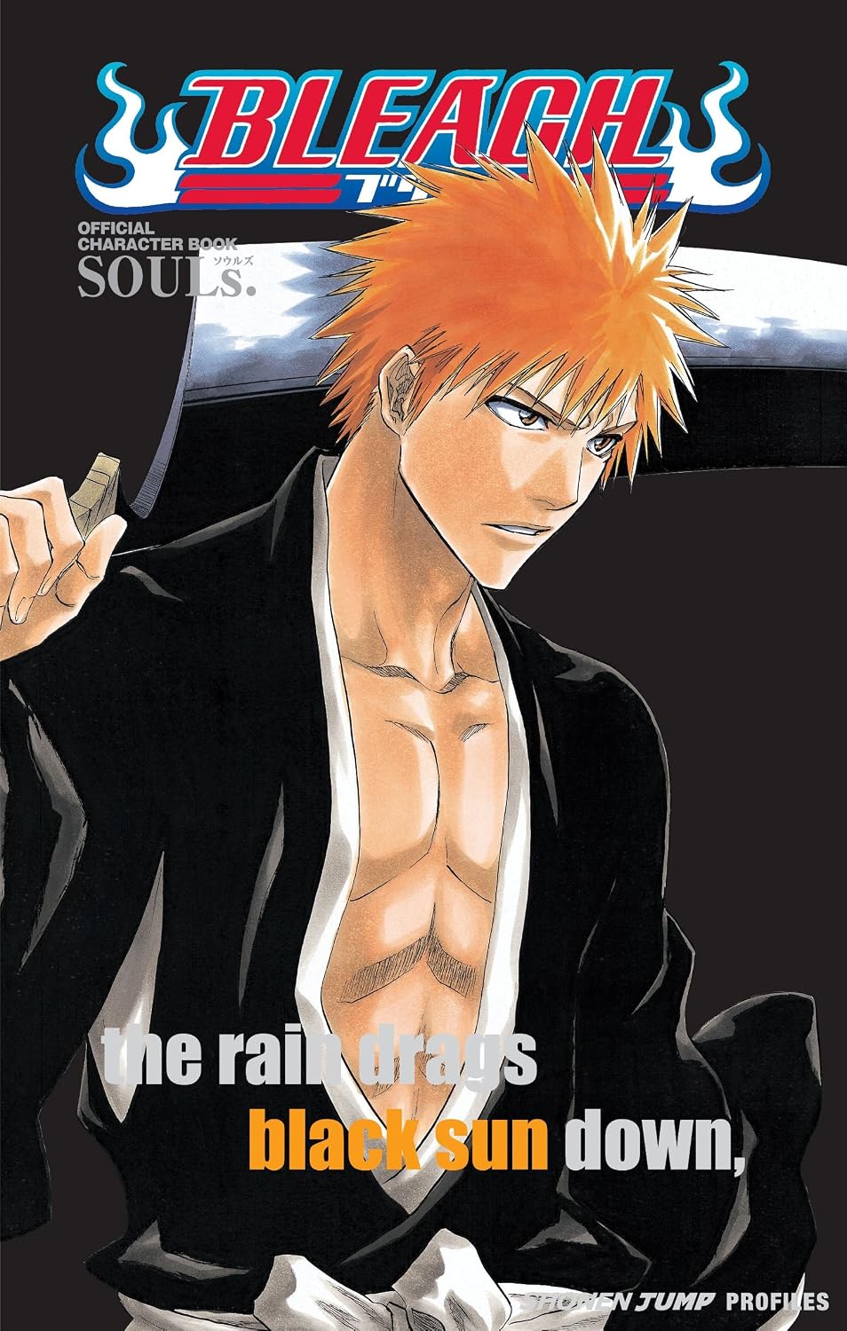 Bleach Shonen Jump Profiles