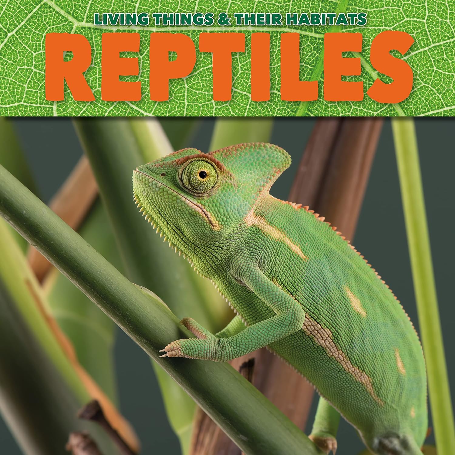Reptiles (living Things and Their Habitats)