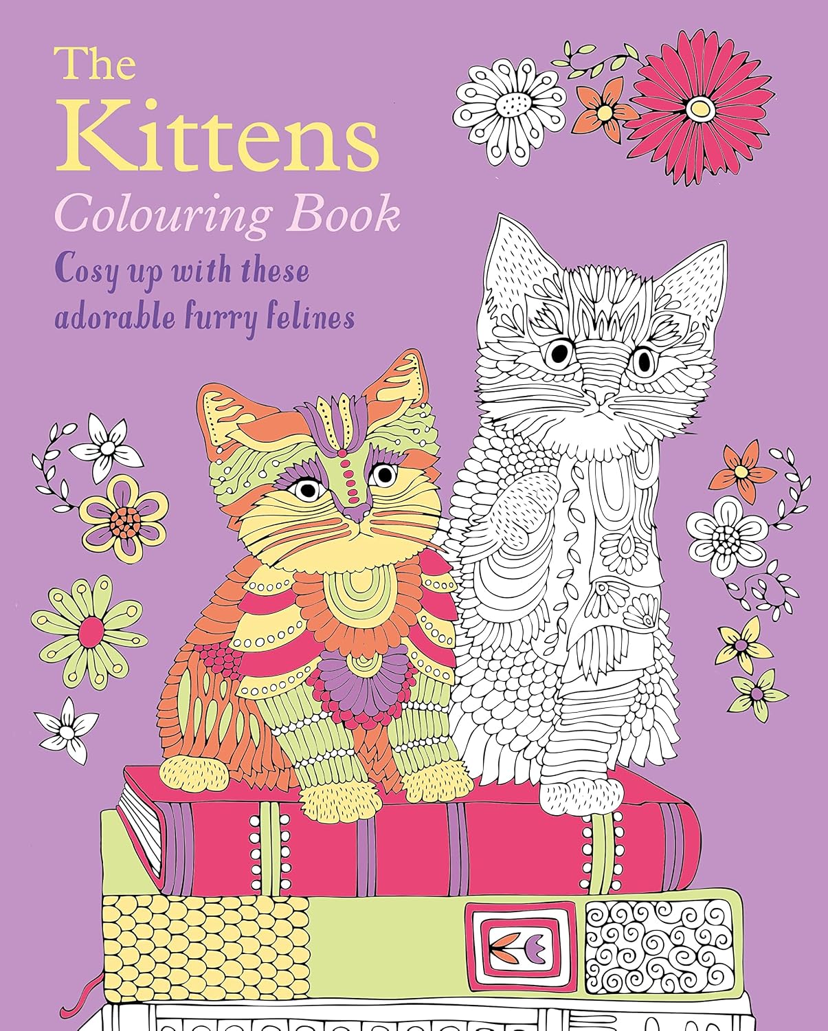 The Kittens Colouring Book