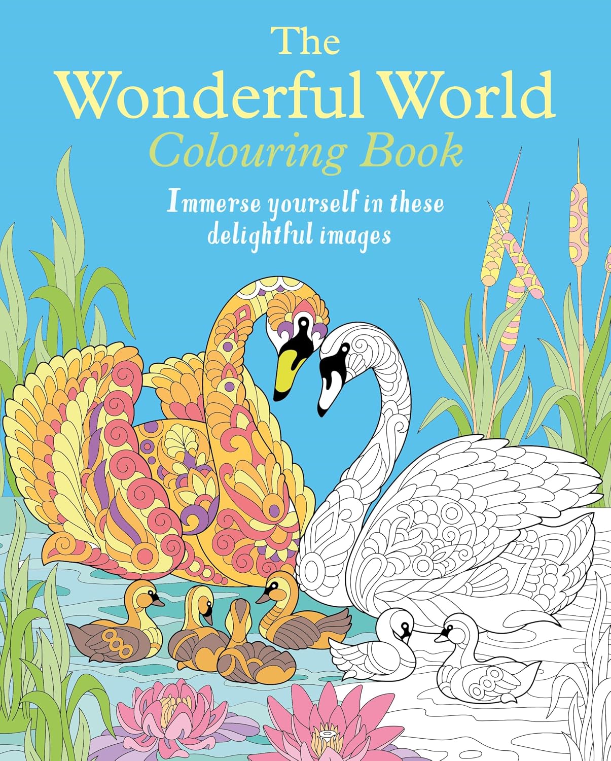 THE WONDERFUL WORLD COLOURING BOOK