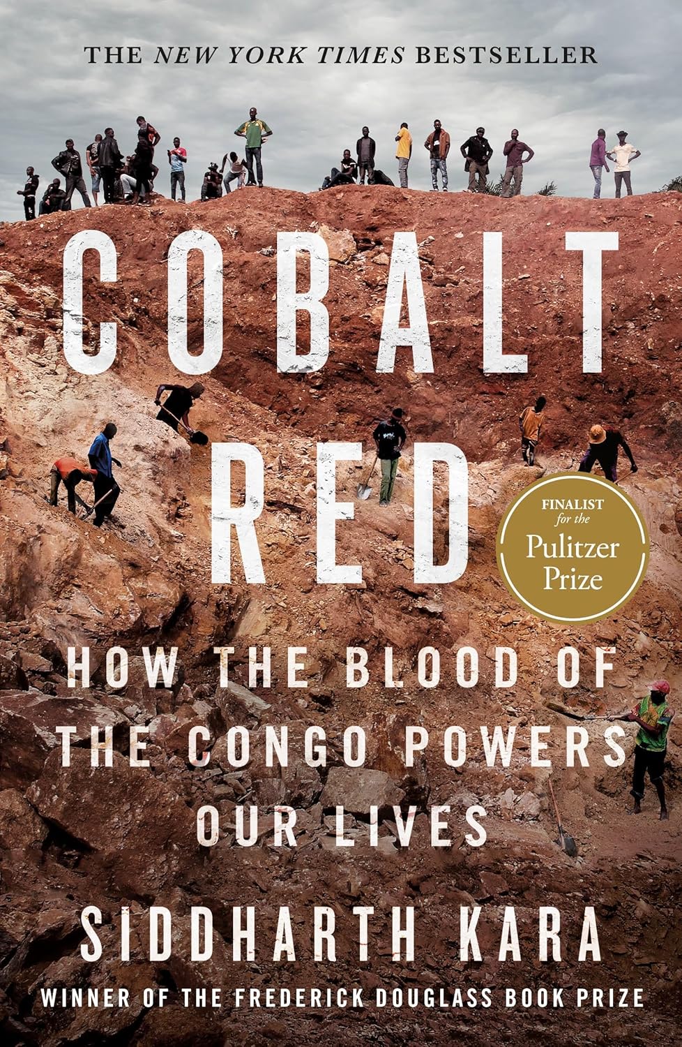 Cobalt Red:how the Blood of the Congo Powers Our Lives