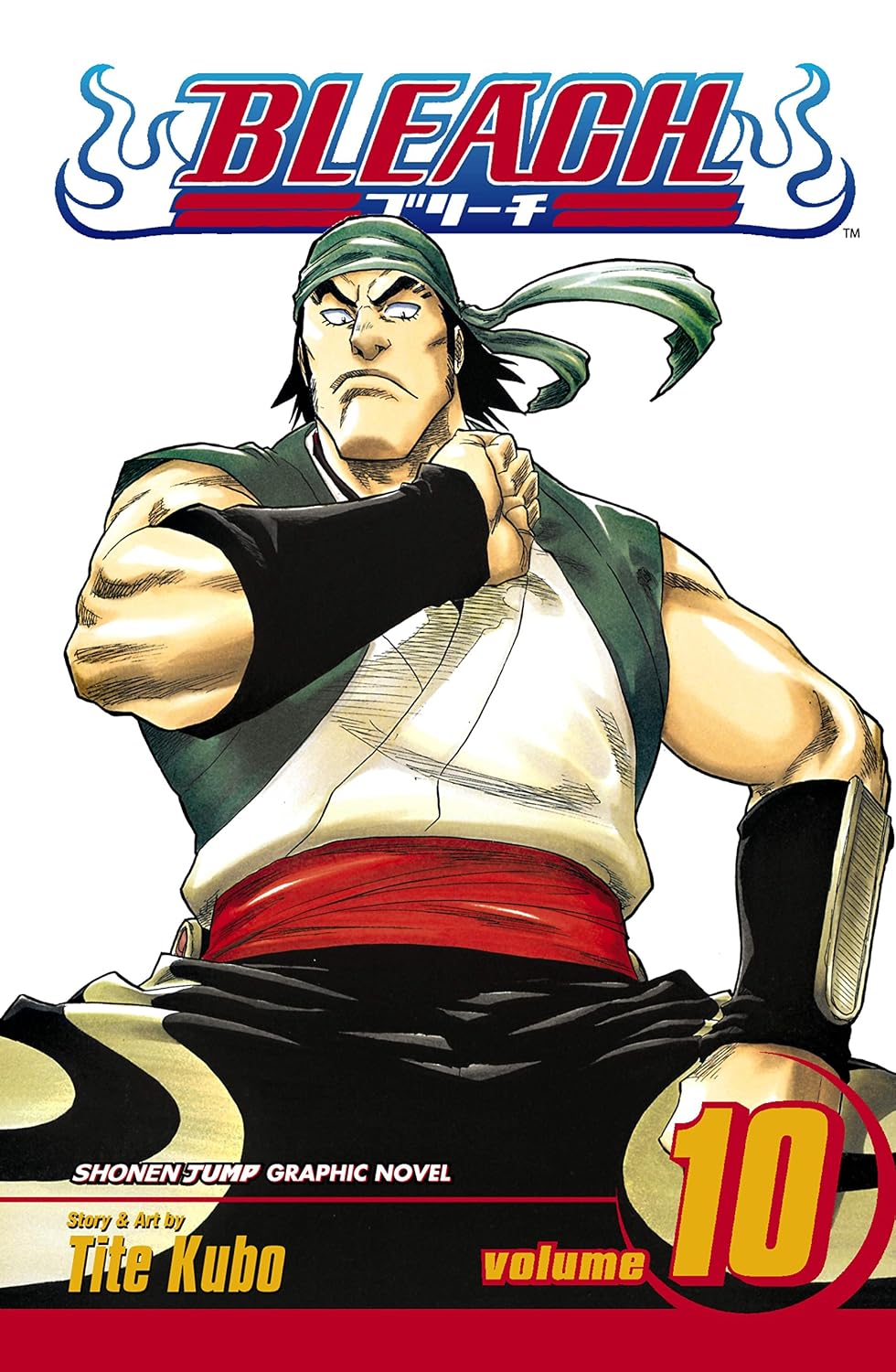 Bleach Vol 10