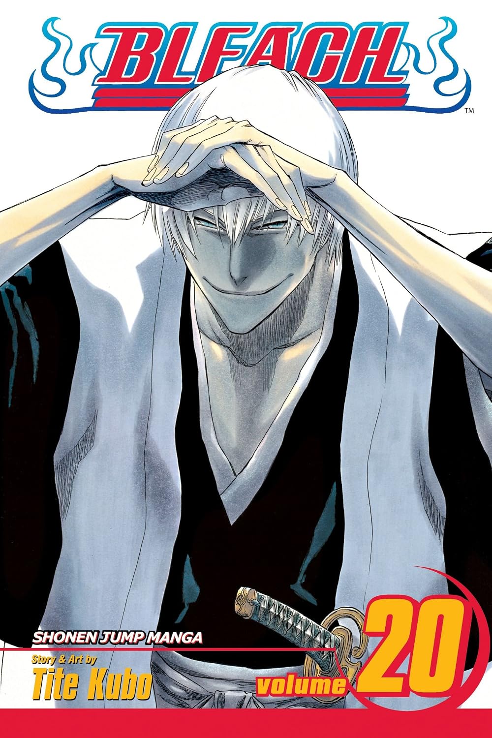 Bleach Vol 20