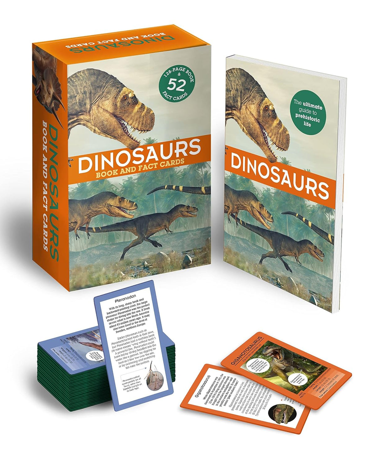 Dinosaurs: Book and Fact Cards