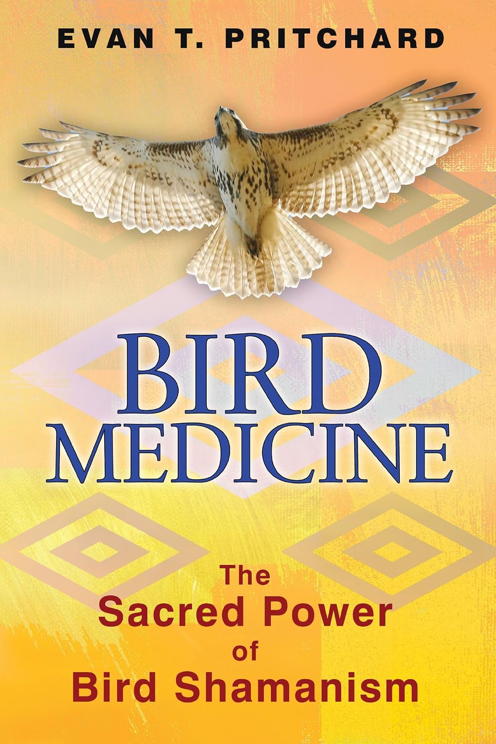 Bird medicine: the sacred power of bird shamanism