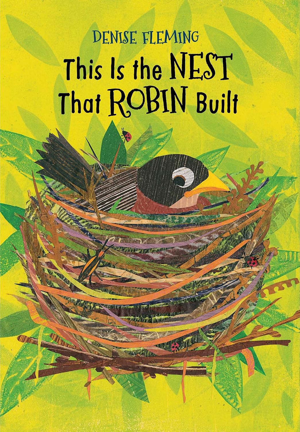 This is the nest that Robin built