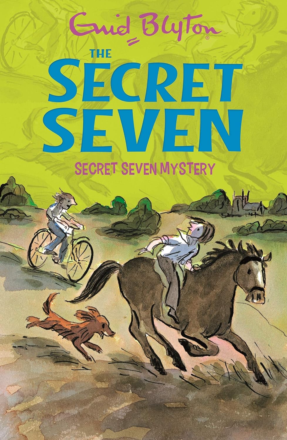 Secret Seven: 09: Secret Seven Mystery