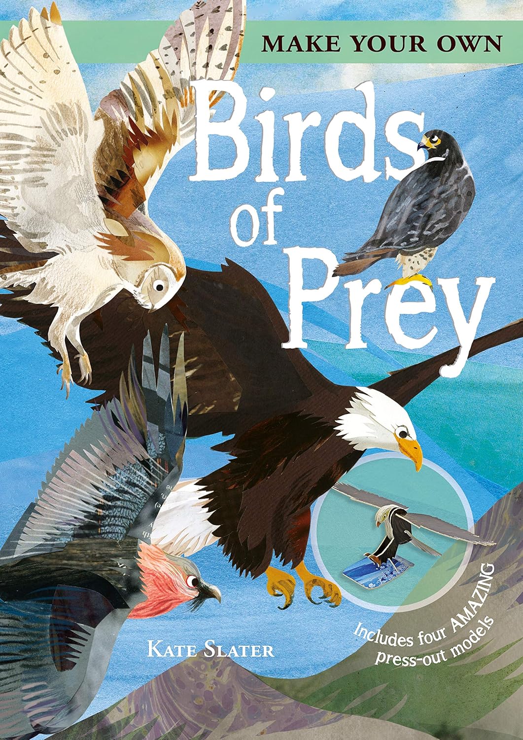 Make Your Own Birds of Prey: Includes Four Amazing Press-Out Models