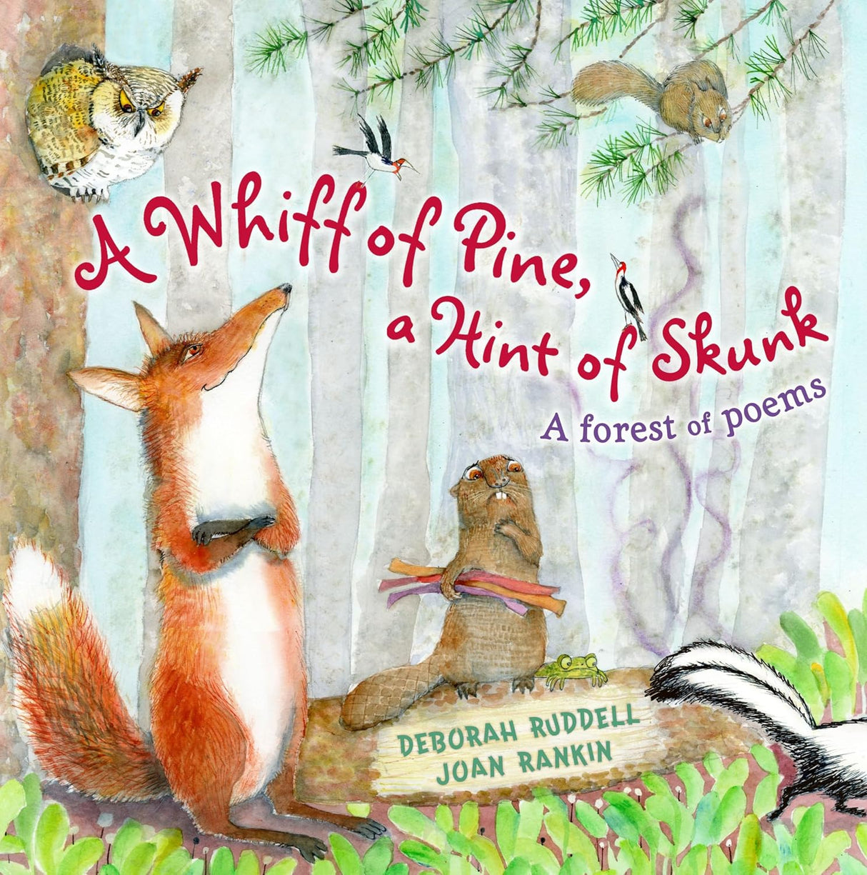 A whiff of pine, a hint of skunk: journey to the wild forest