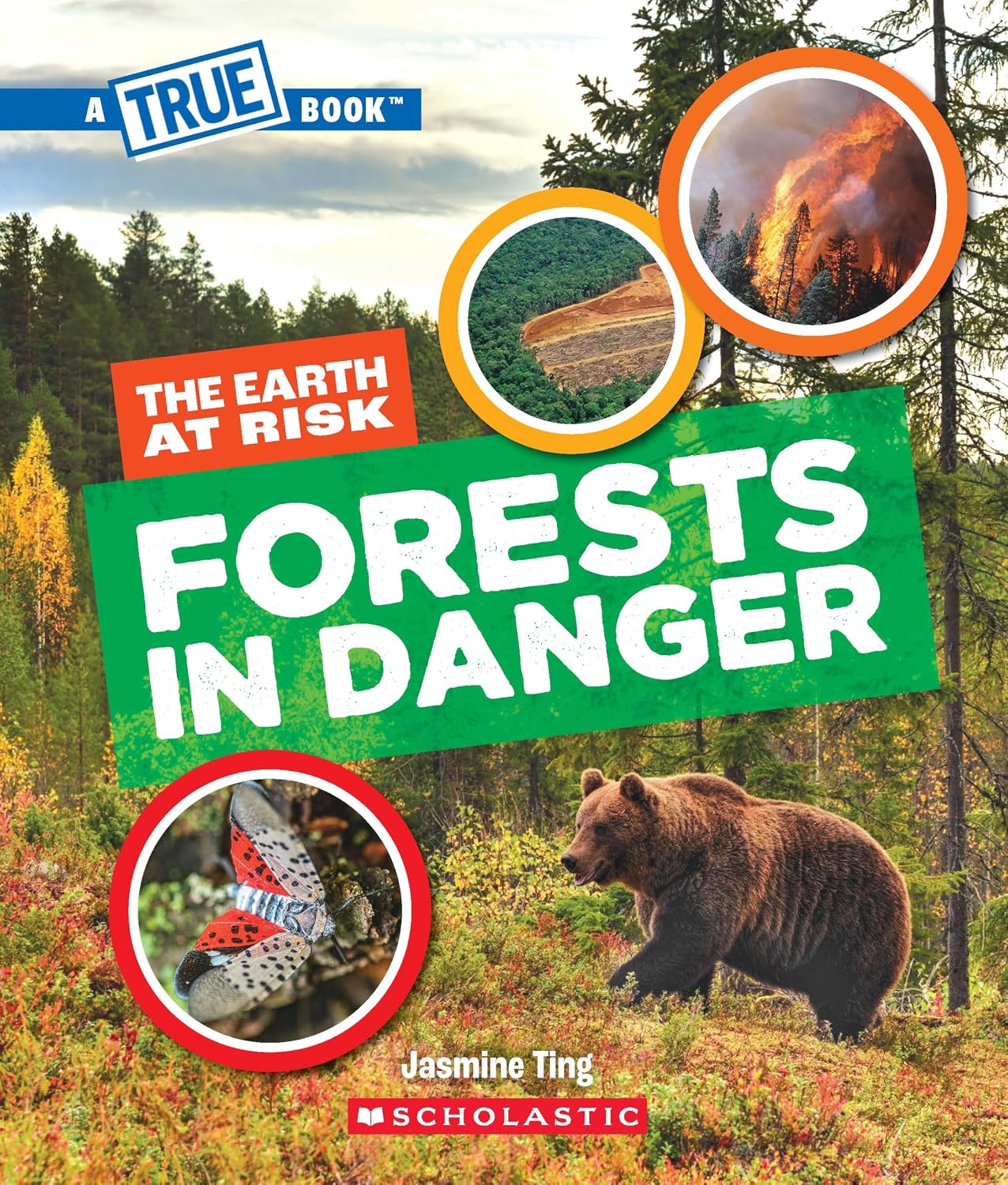 A True Book: Forests in Danger