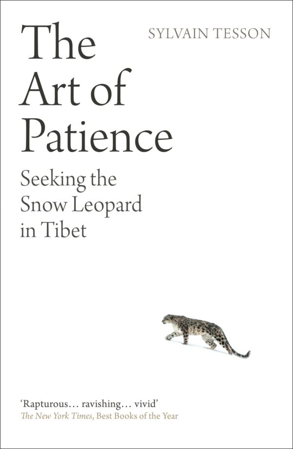 The Art of Patience
