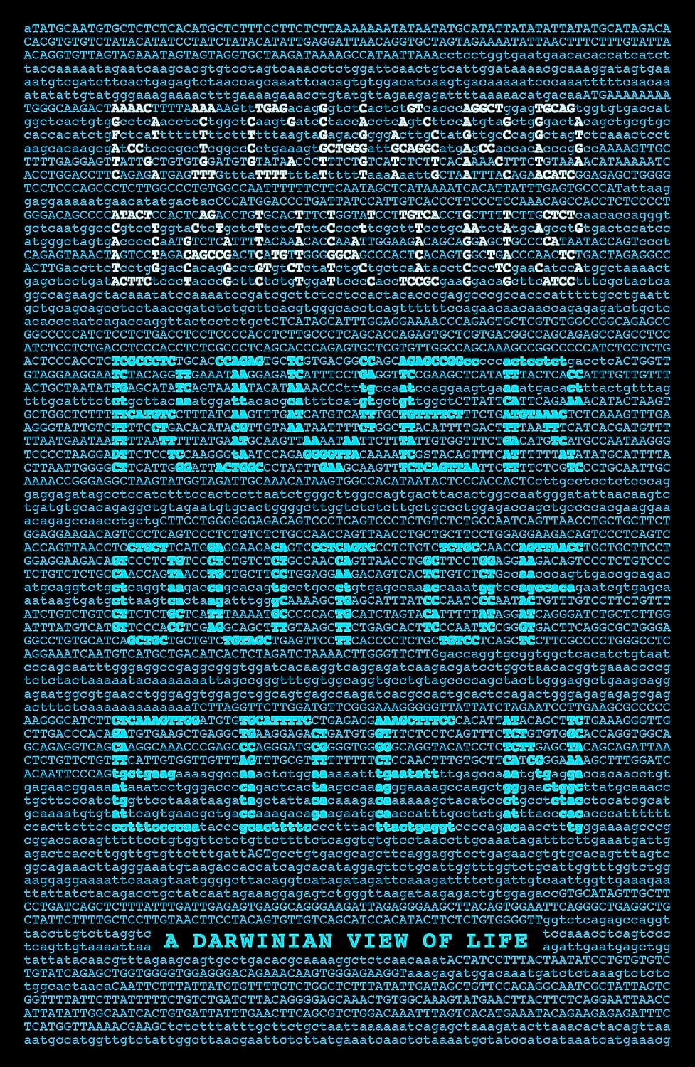 River Out Of Eden