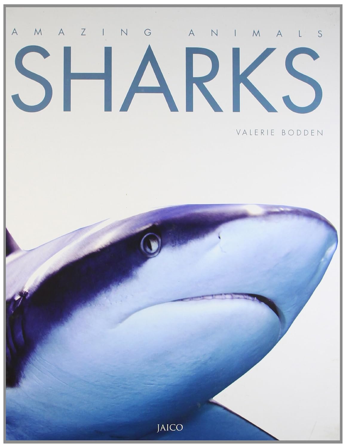 20 Must-Read Children & Young Readers Books