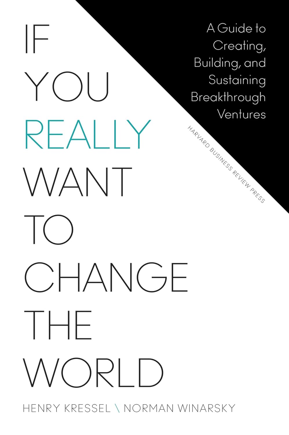 If You Really Want to Change the World: a Guide to Creating, Building, and Sustaining Breakthrough Ventures