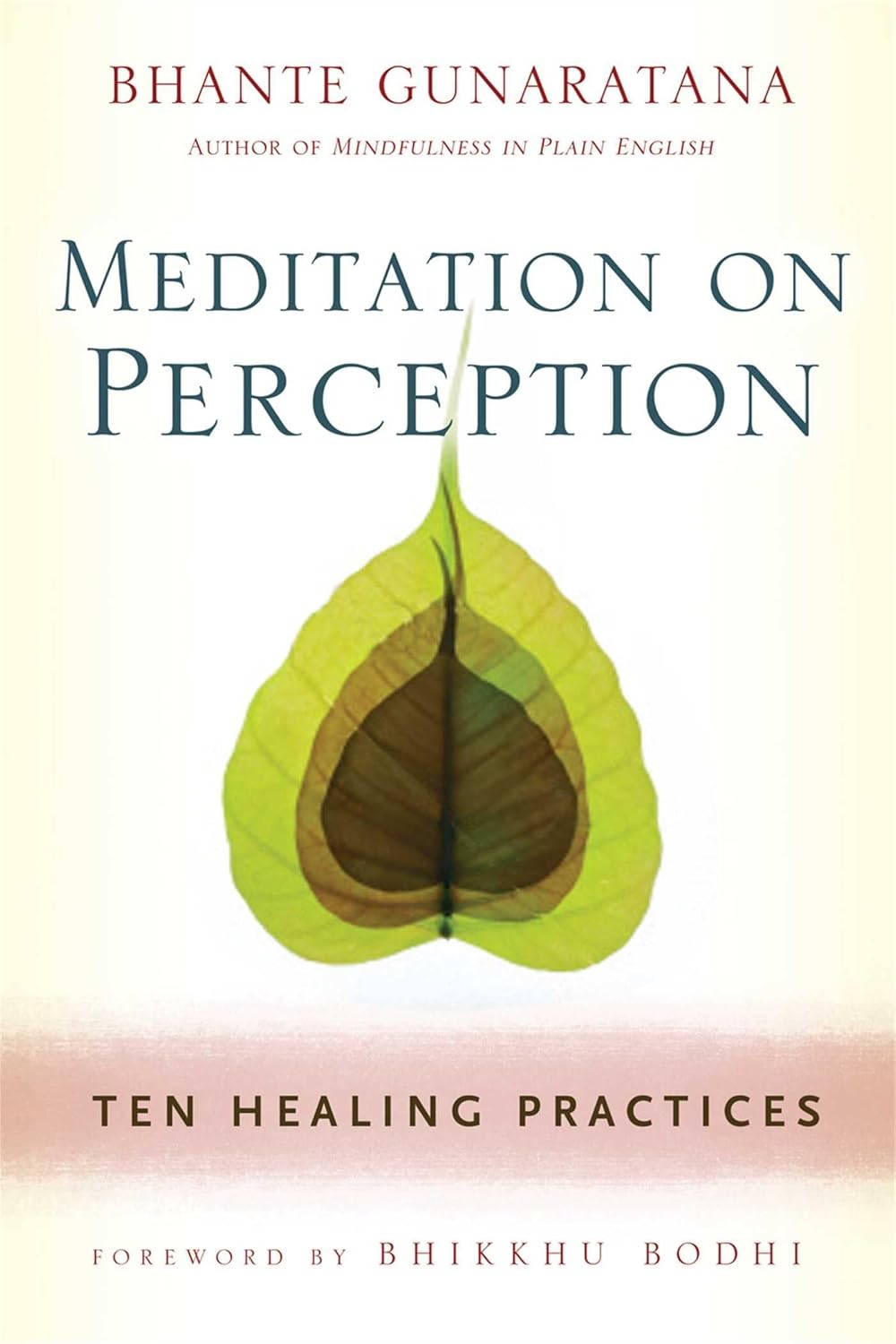 Meditation on perception: ten healing practices to cultivate mindfulness