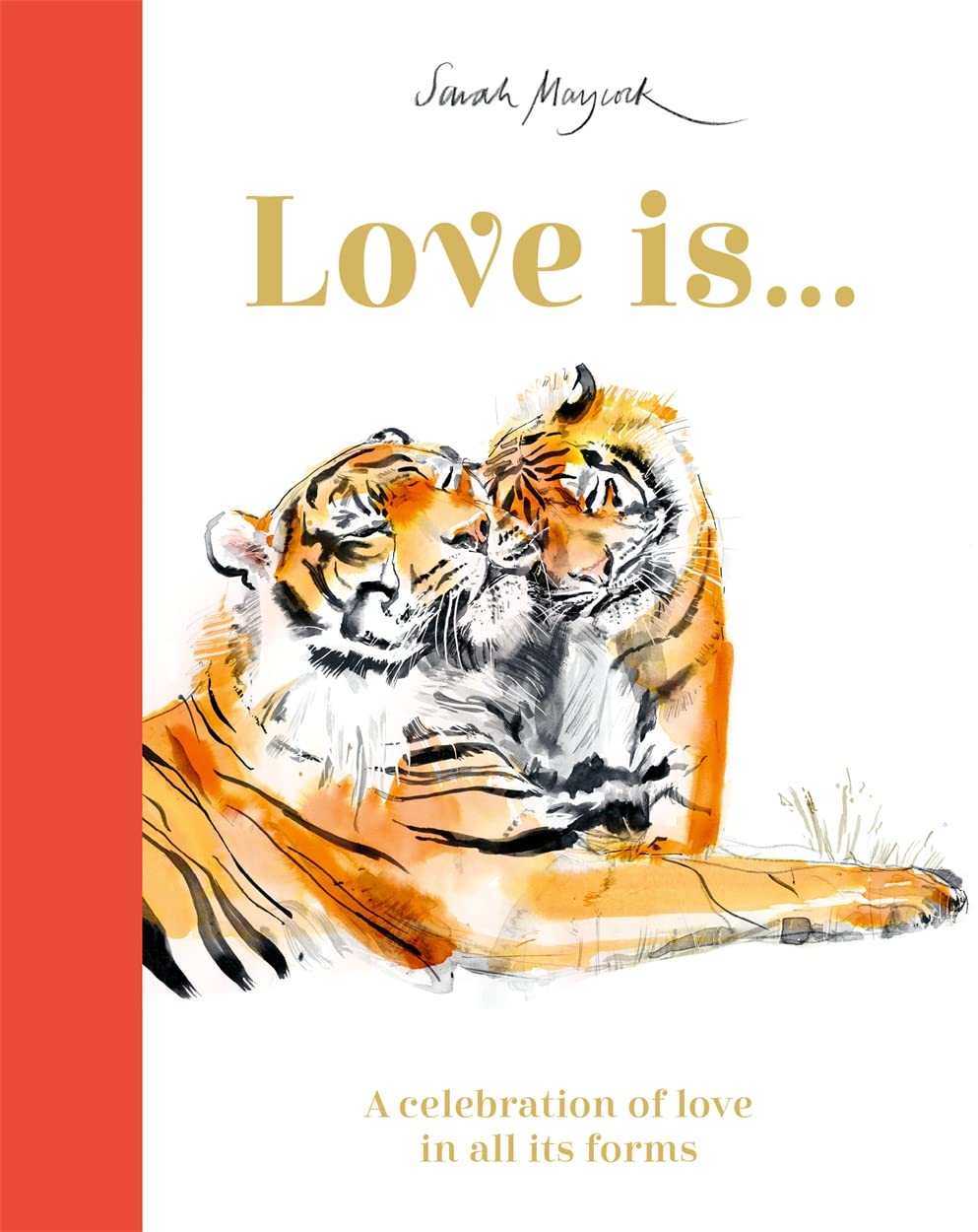 Love Is...: a Celebration of Love in All Its Forms (sarah Maycock)