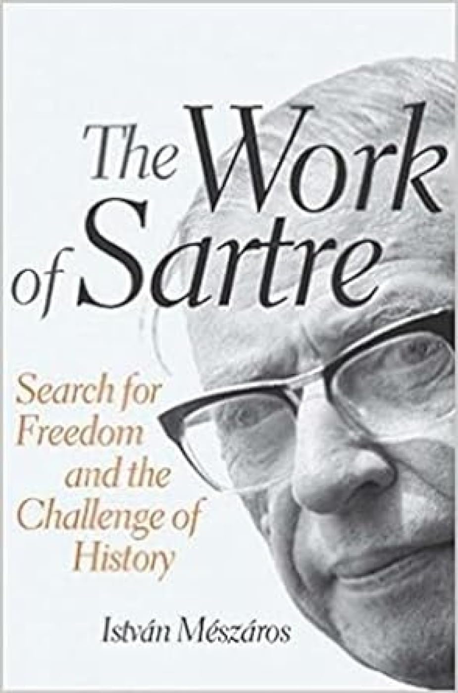 The Work of Sartre