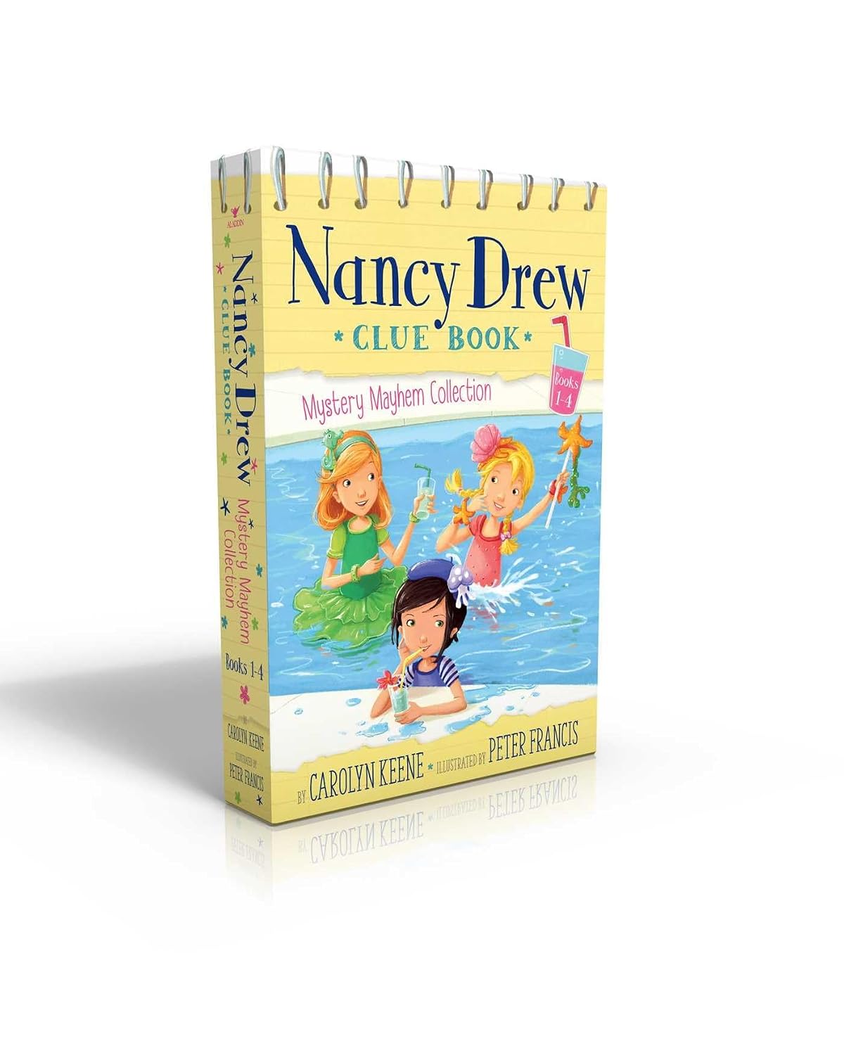 Nancy Drew Clue Book Mystery Mayhem Collection Books 1-4: Pool Party Puzzler; Last Lemonade Standing; a Star Witness; Big Top Flop