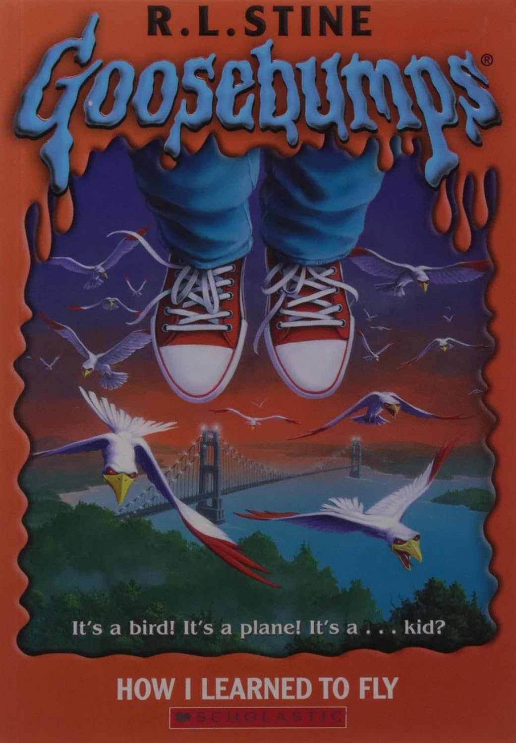 How I Learned To Fly
