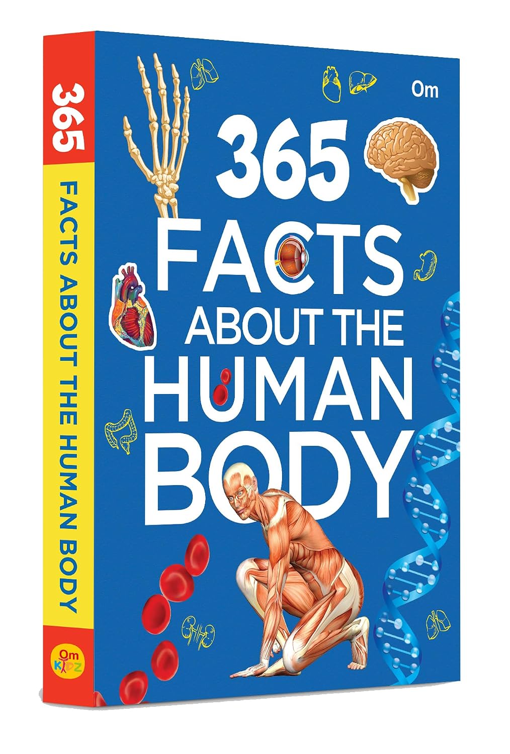 365 Facts About the Human Body: Anatomy & Biology Facts for Kids