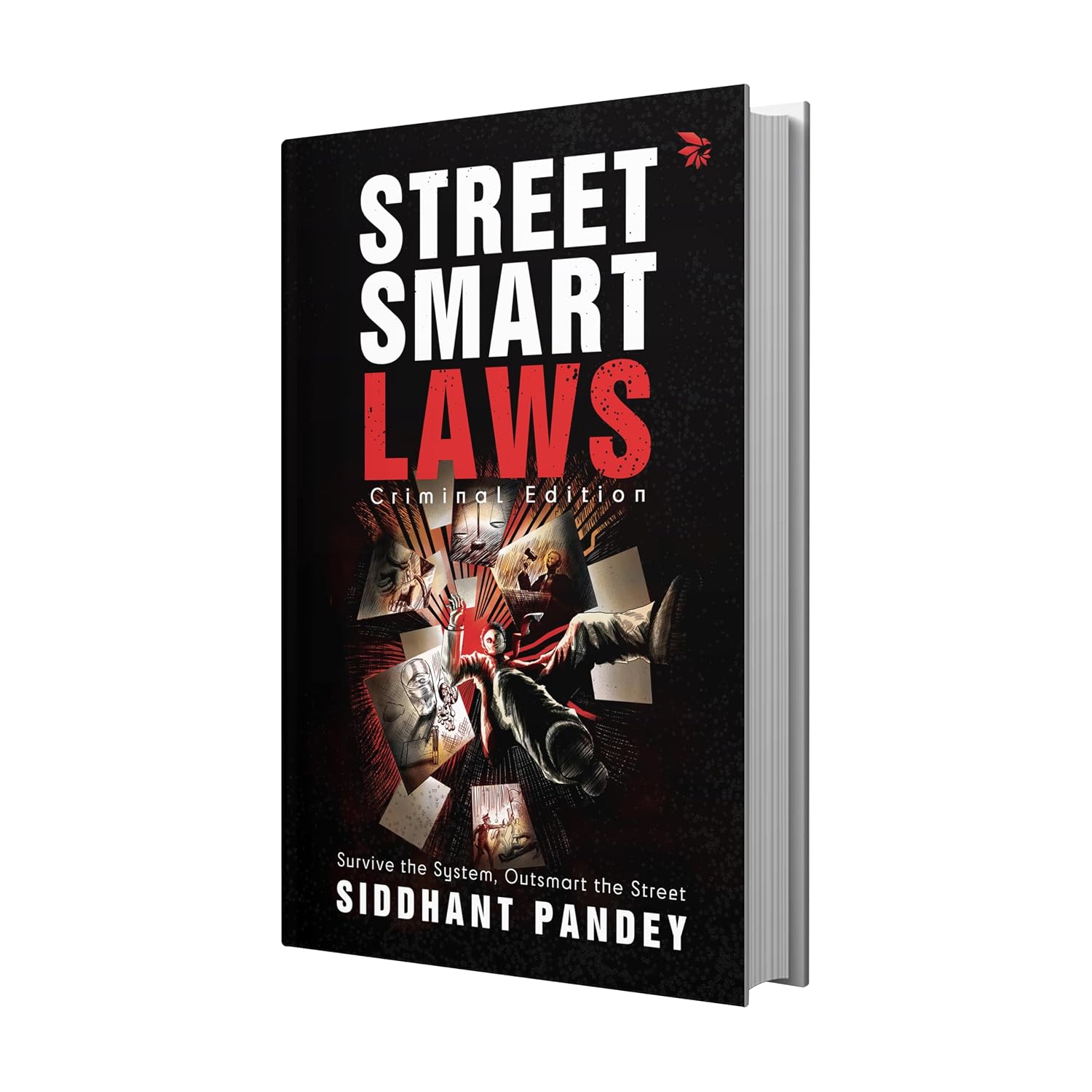 Street Smart Laws: Criminal Edition(survive the System, Outsmart the Street)