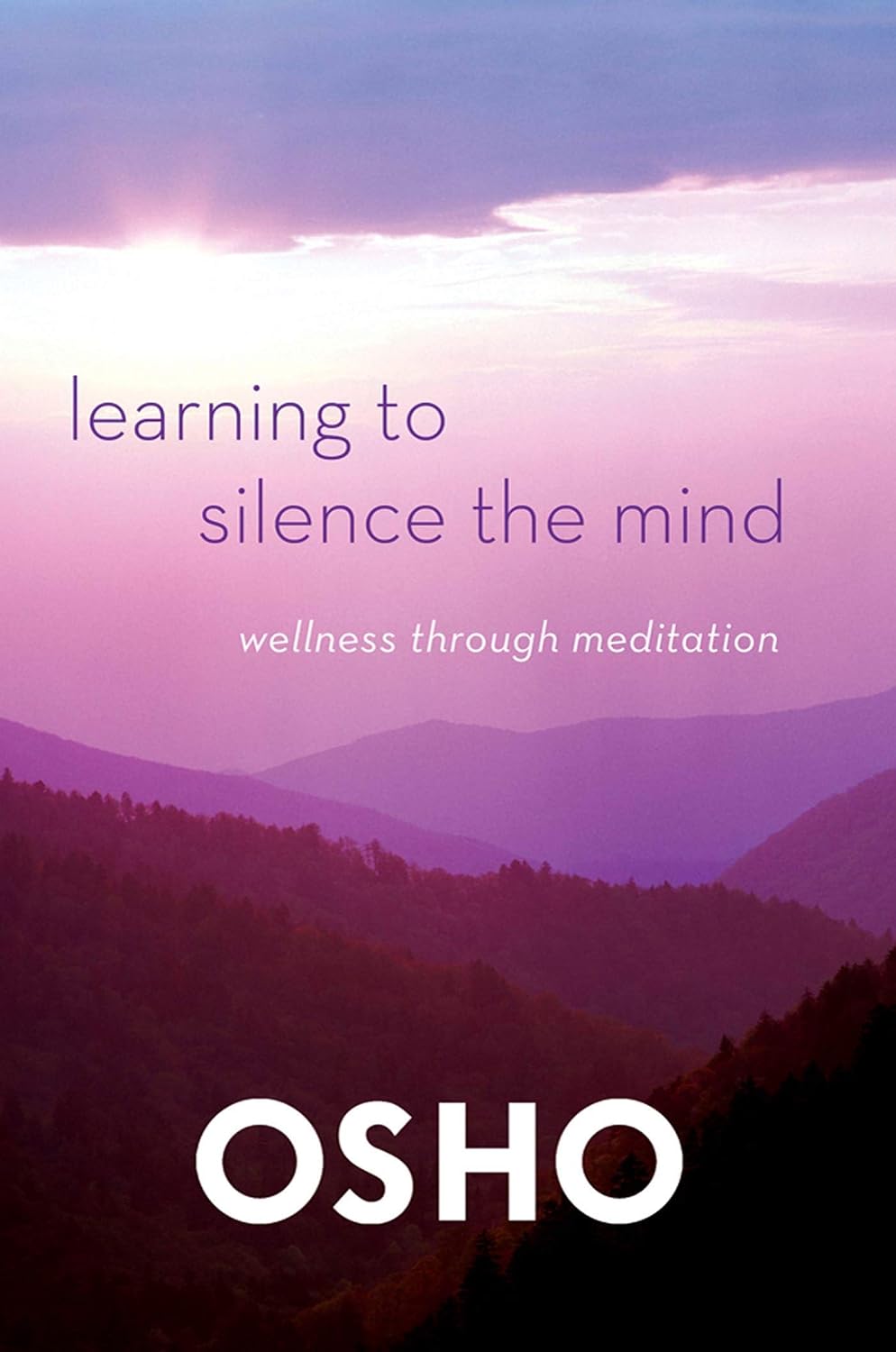 Learning to silence the mind: wellness through meditation