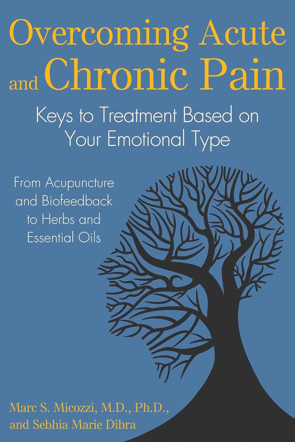 Overcoming acute and chronic pain: keys to treatment based on your emotional type