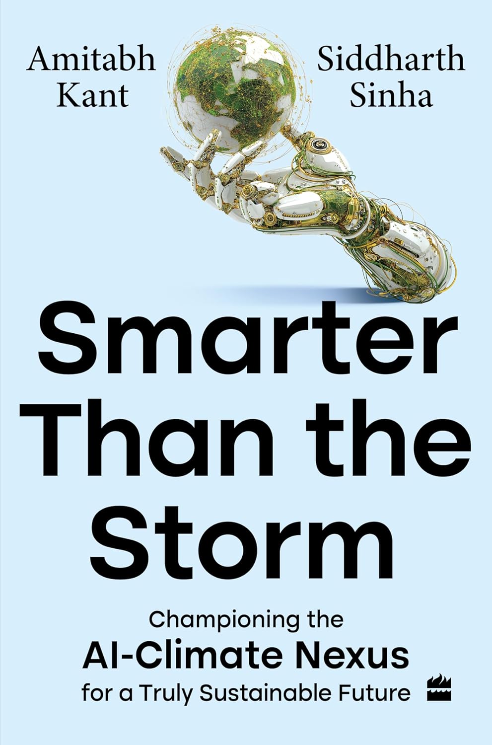 Smarter Than the Storm: Championing the Ai-climate Nexus for a Truly Sustainable Future