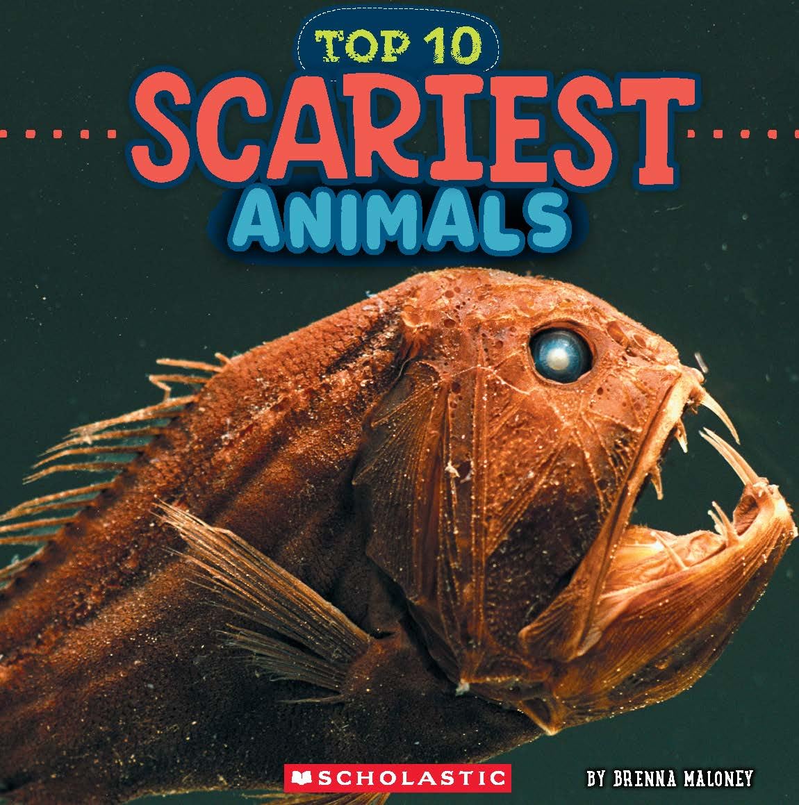Scariest Animals (wild World: Top 10)