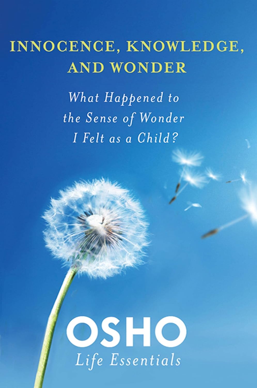 Innocence, knowledge, and wonder: what happened to the sense of wonder I felt as a child?