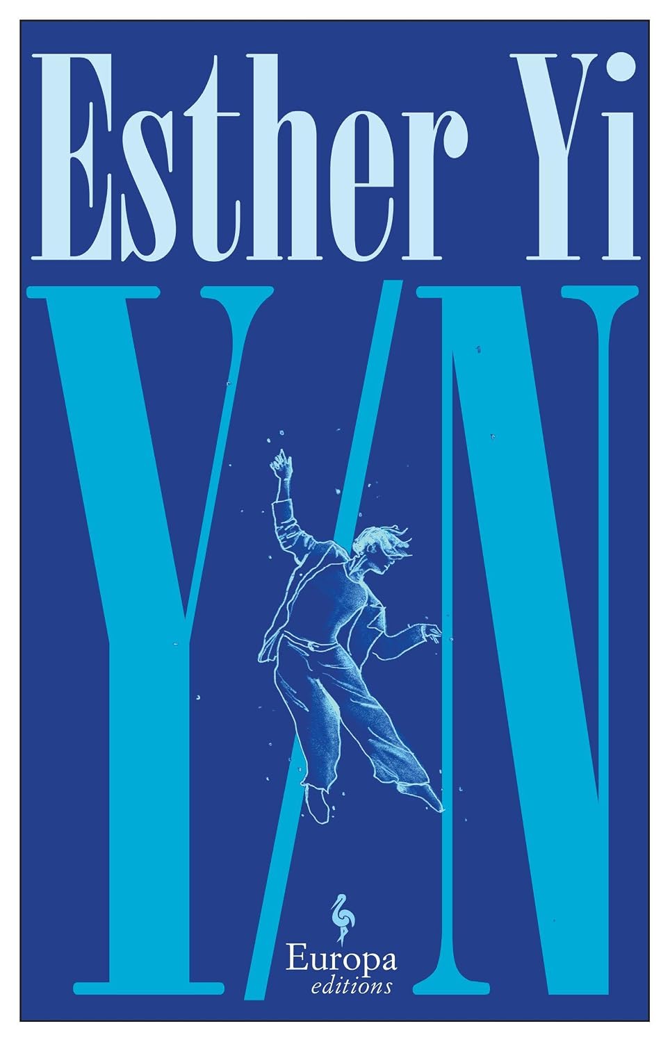Y/n: a Novel
