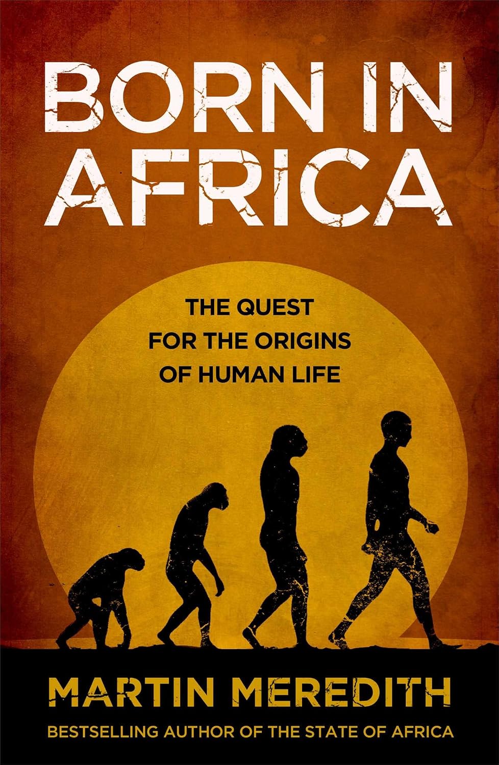 Born in Africa: The Quest for the Origins of Human Life