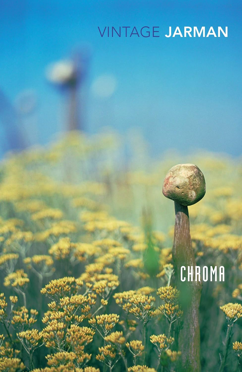 Chroma: a Book of Colour - June '93