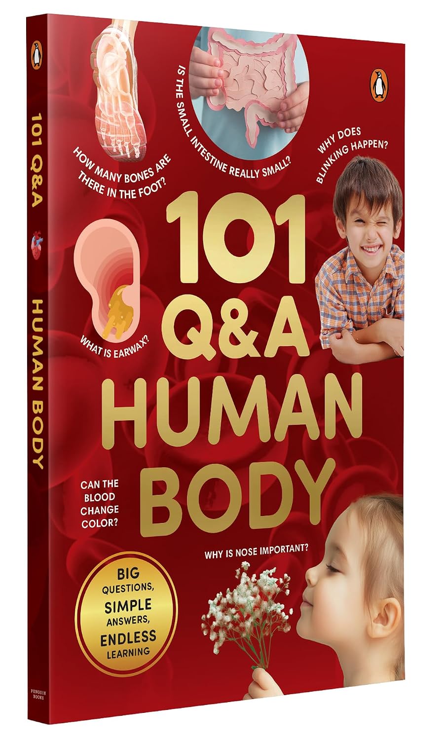 101 Q&A: Human Body