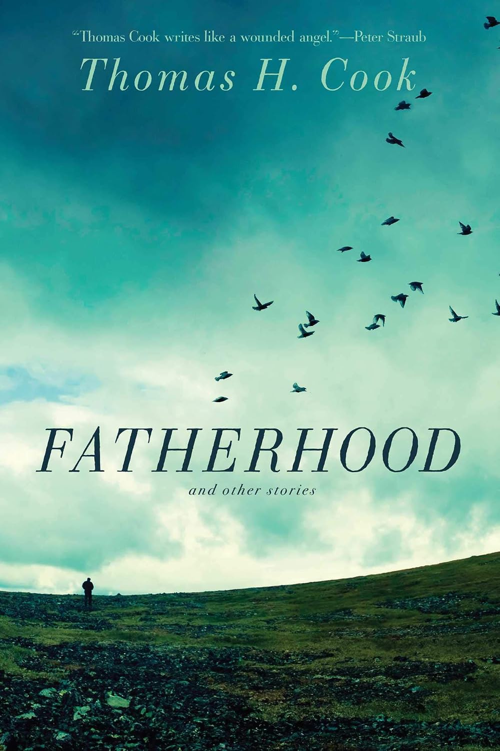 Fatherhood : and other stories
