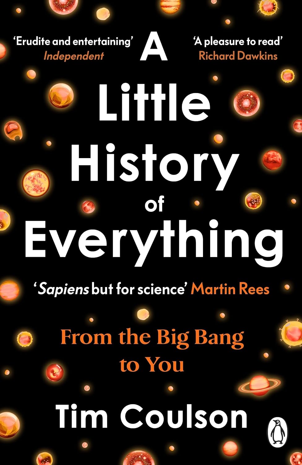 Little History of Everything: From the Big Bang to You