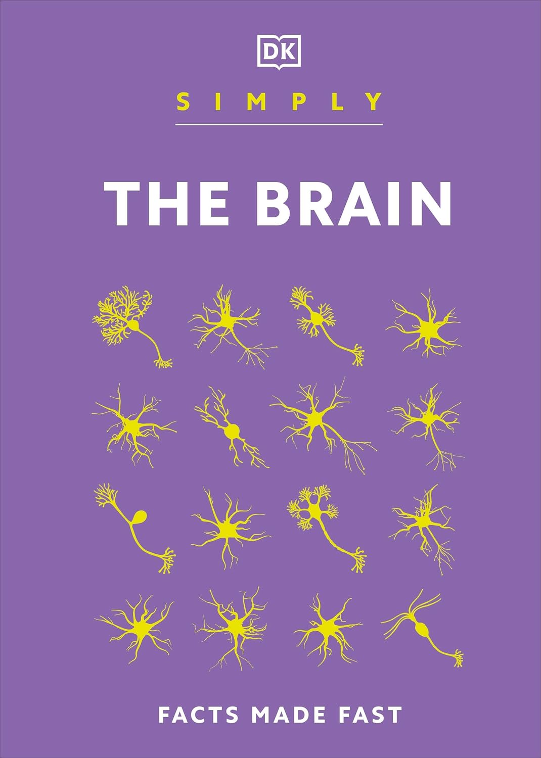 Simply the Brain