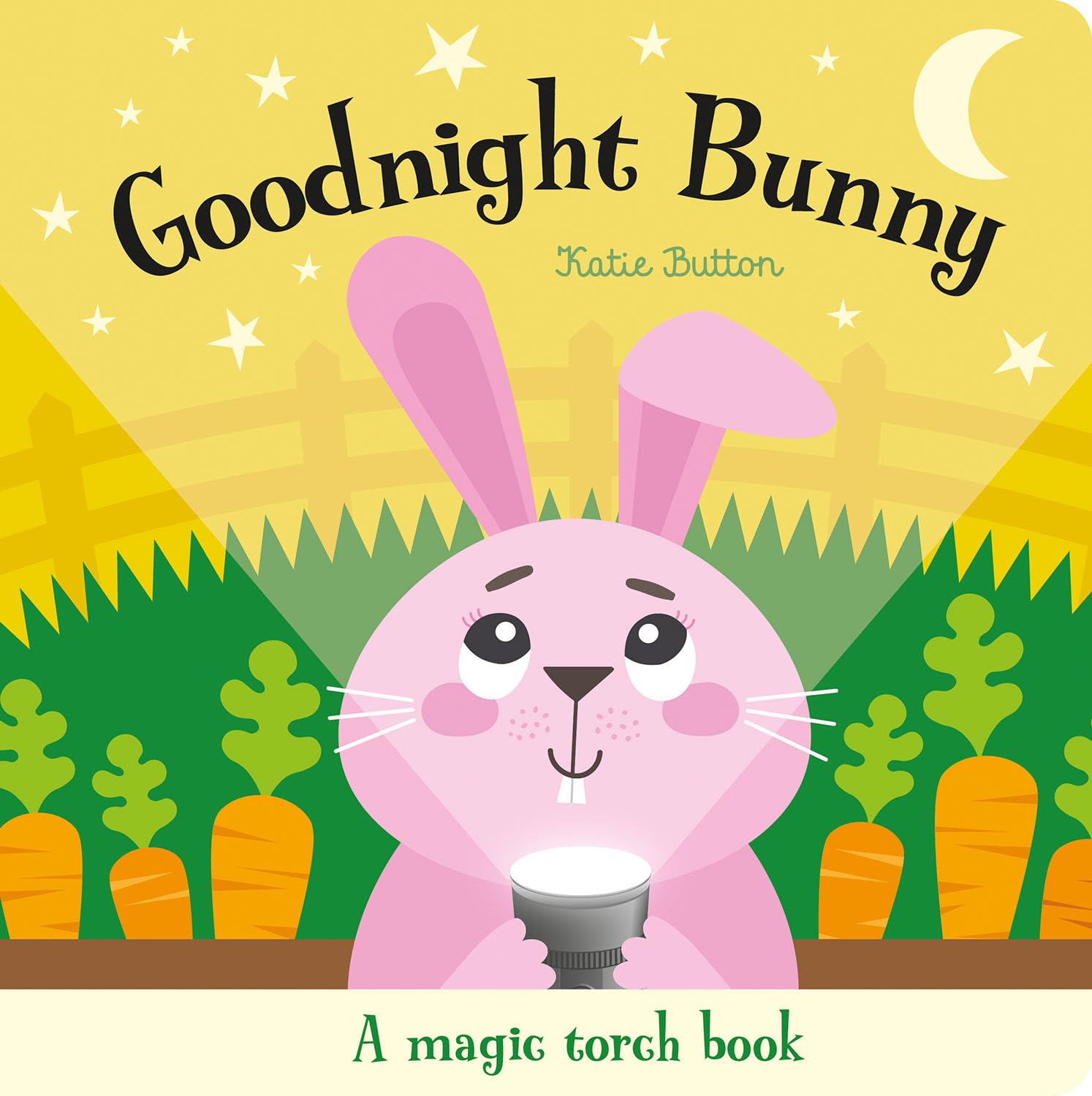 Goodnight Bunny (magic Torch Books)