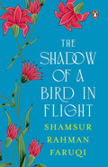 The Shadow of a Bird in Flight