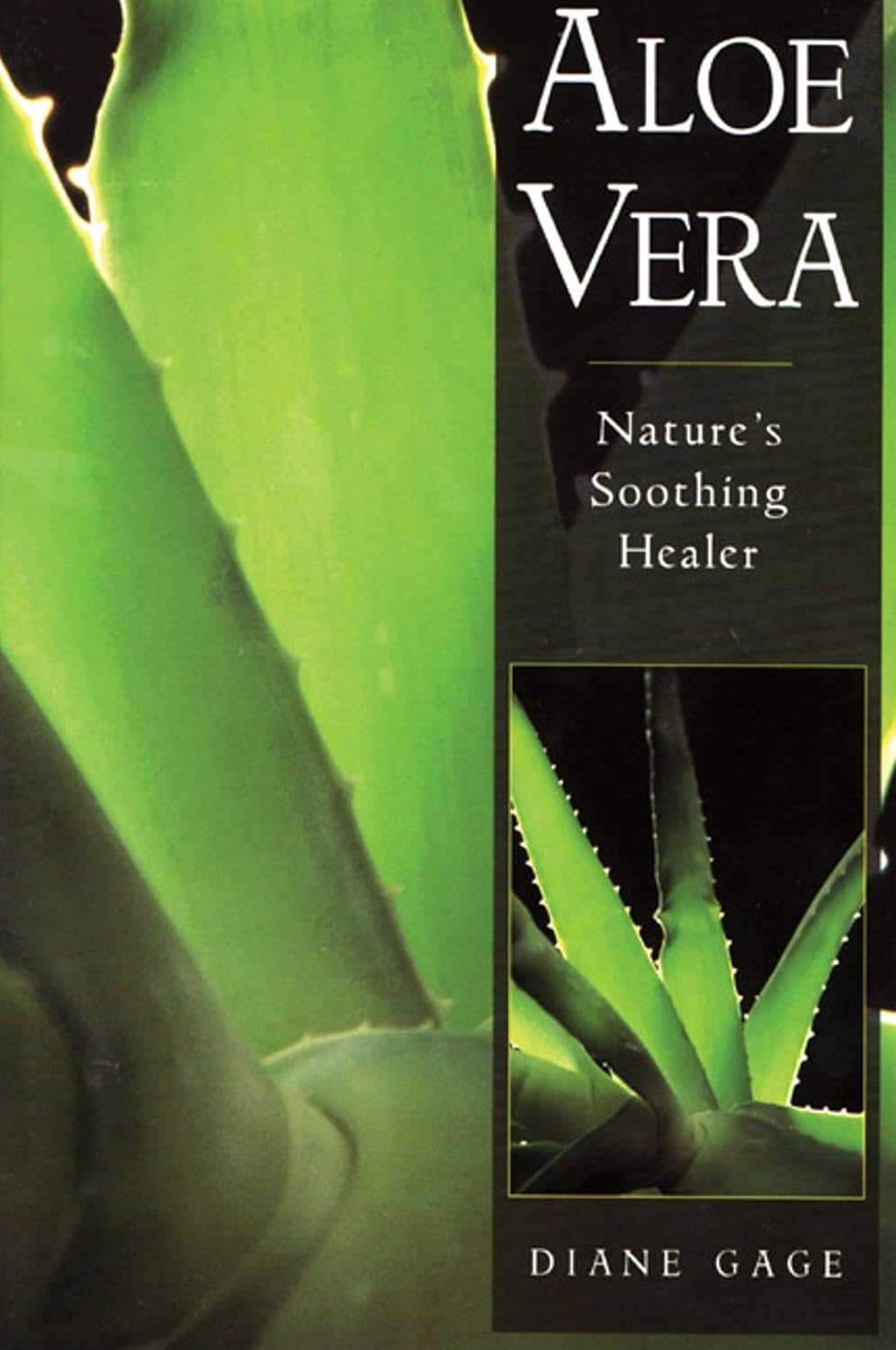 Aloe vera: nature's soothing healer