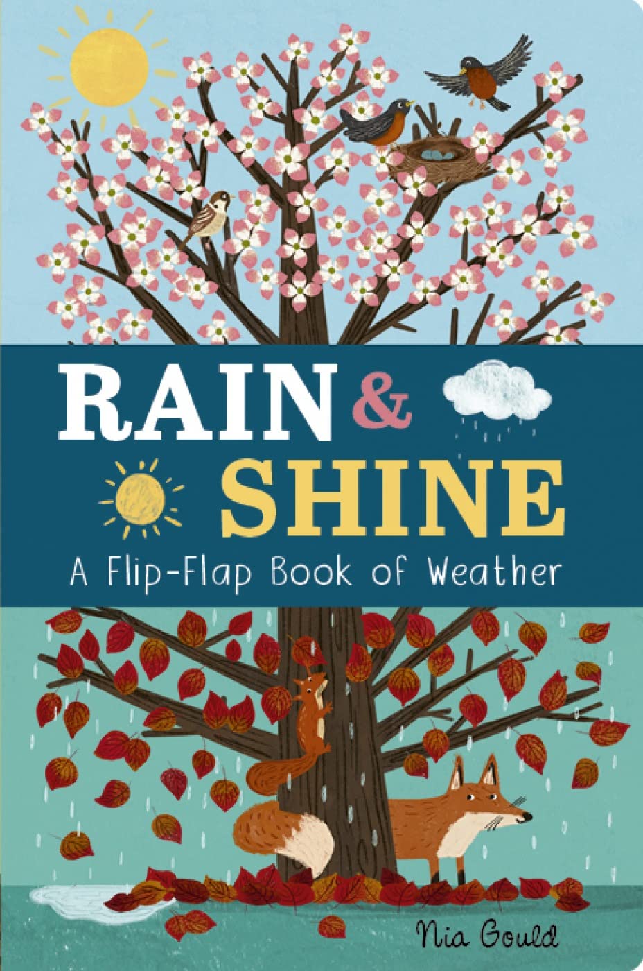 Rain and Shine: a Flip-flap Book of Weather