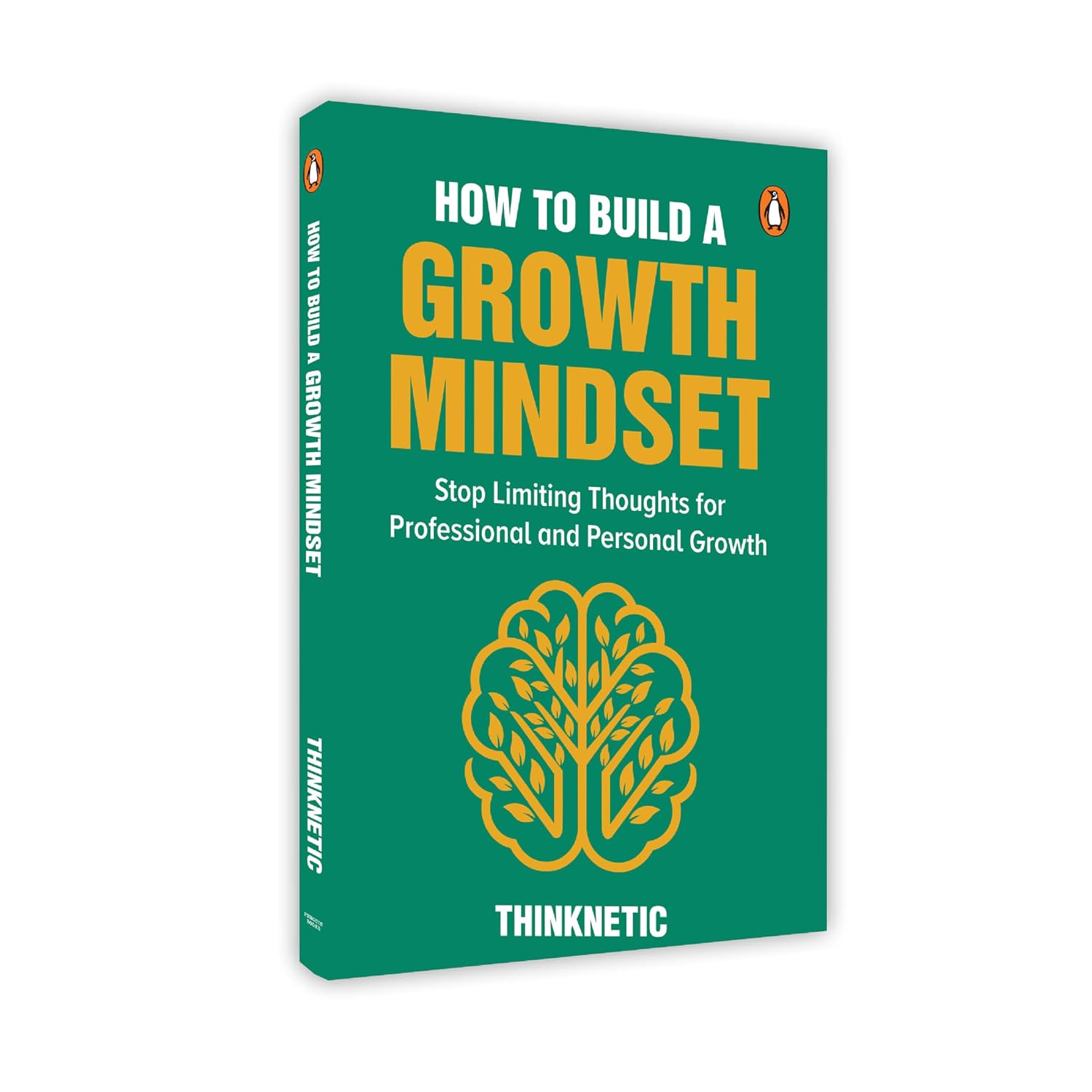 How to Build a Growth Mindset: Stop Limiting Thoughts for Professional and Personal Growth