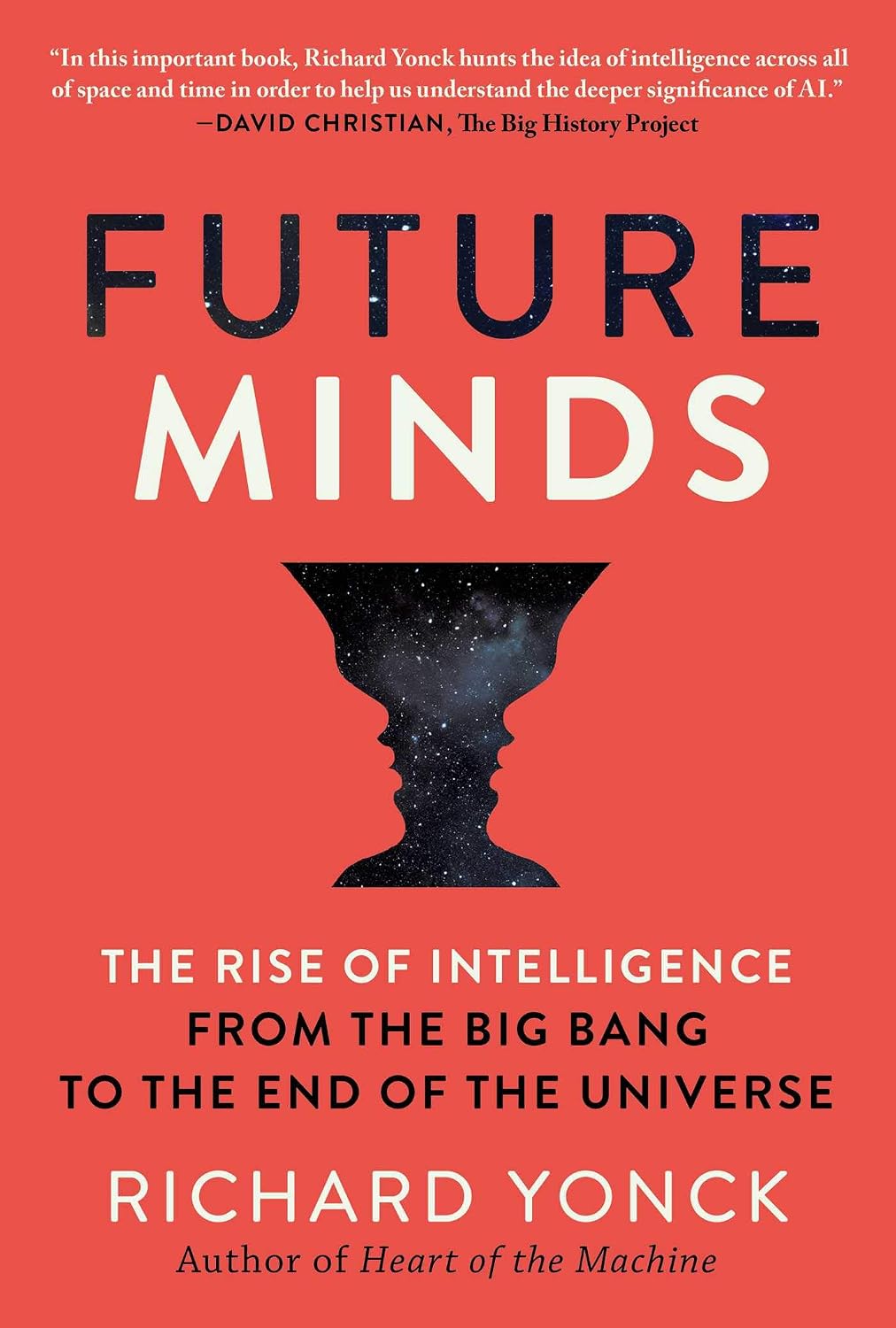 Future Minds: The Rise of Intelligence, from the Big Bang to the End of the Universe