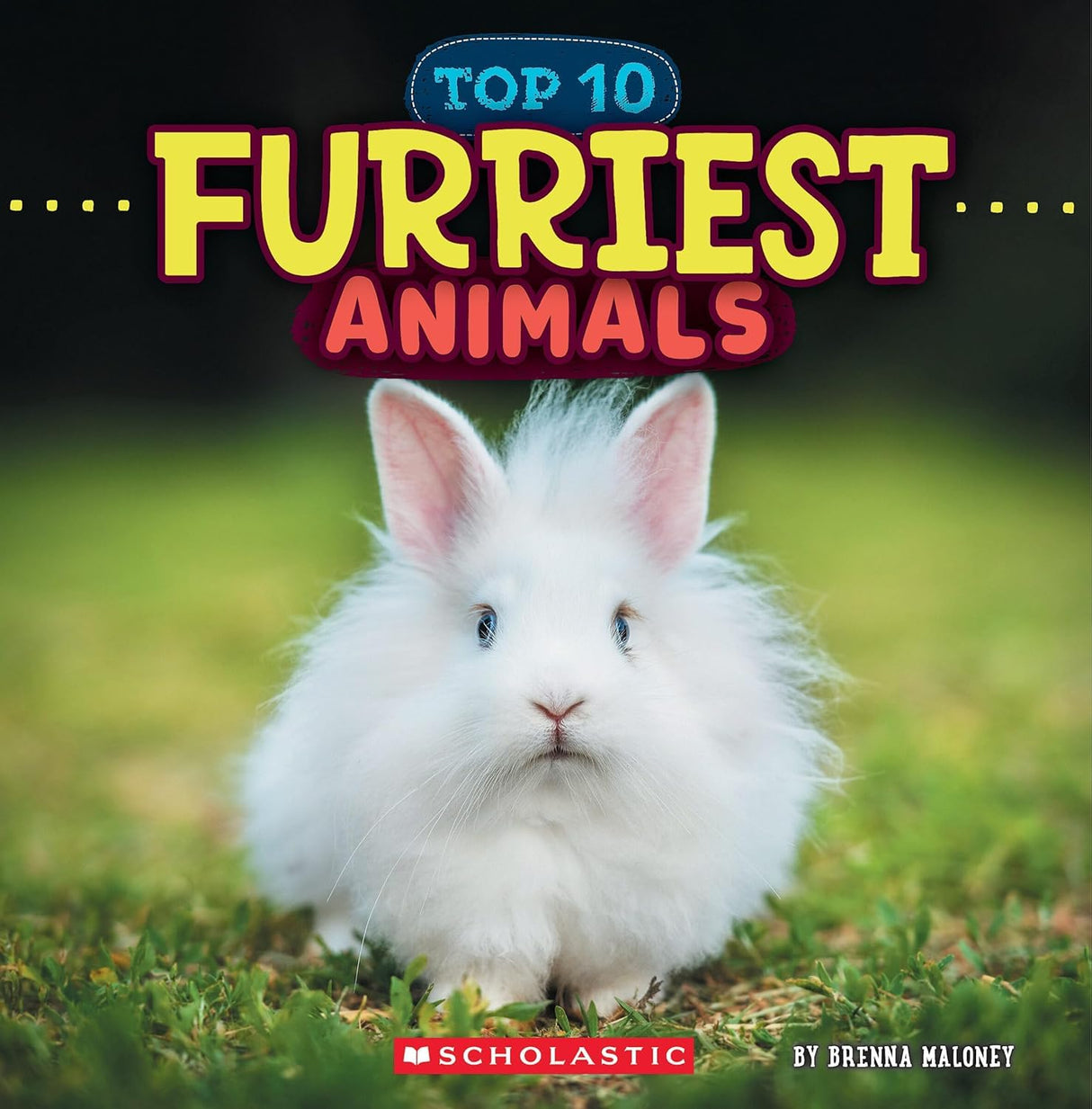 Furriest Animals (wild World: Top 10)