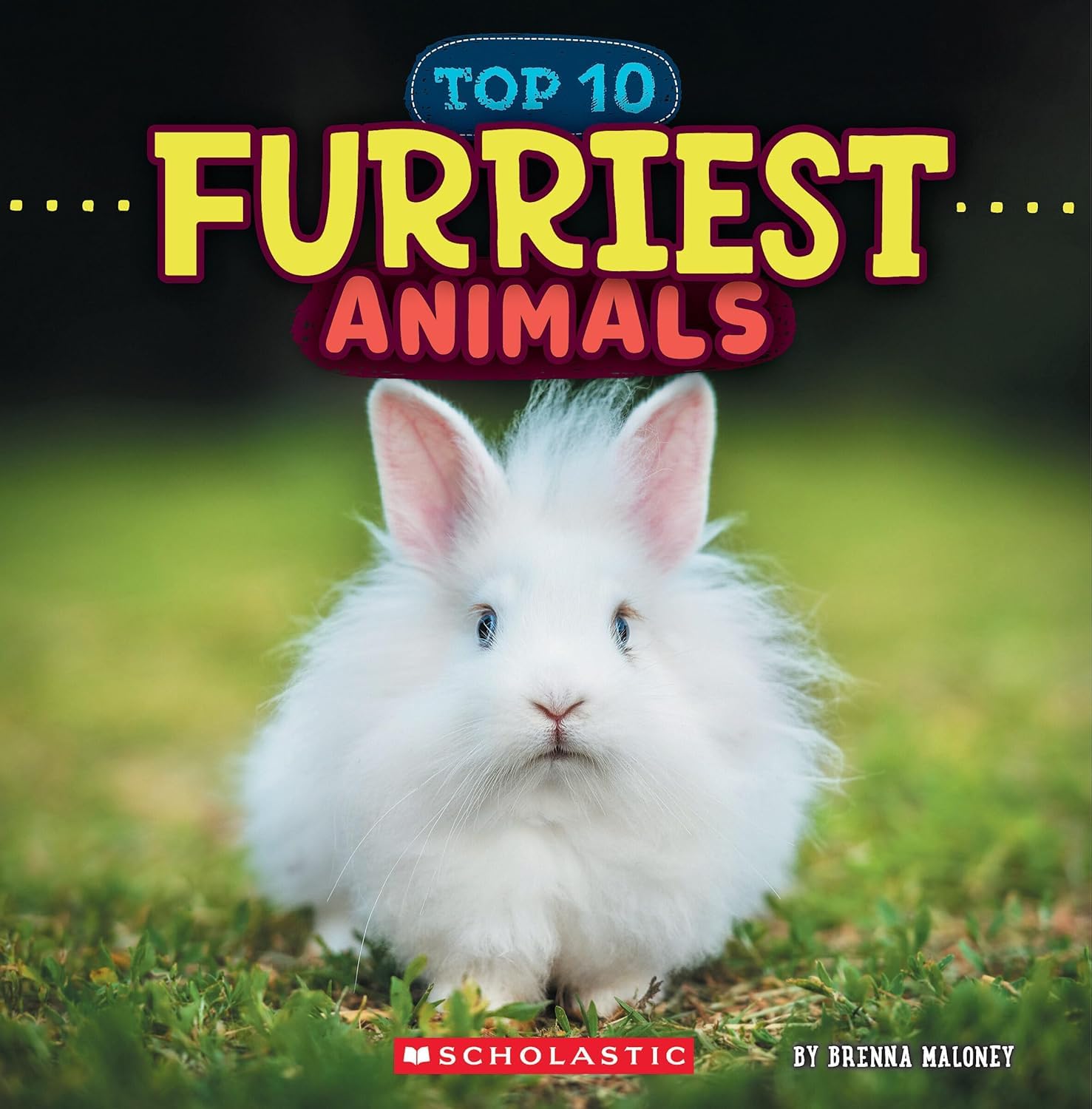 Furriest Animals (wild World: Top 10)
