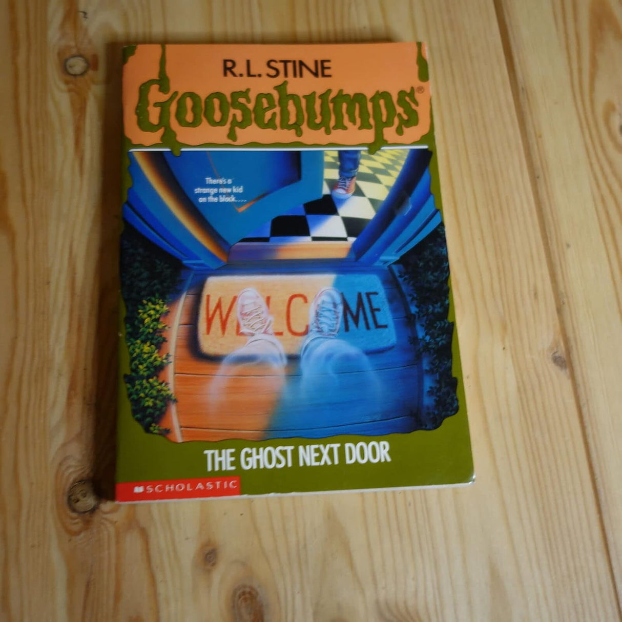 The Ghost Next Door