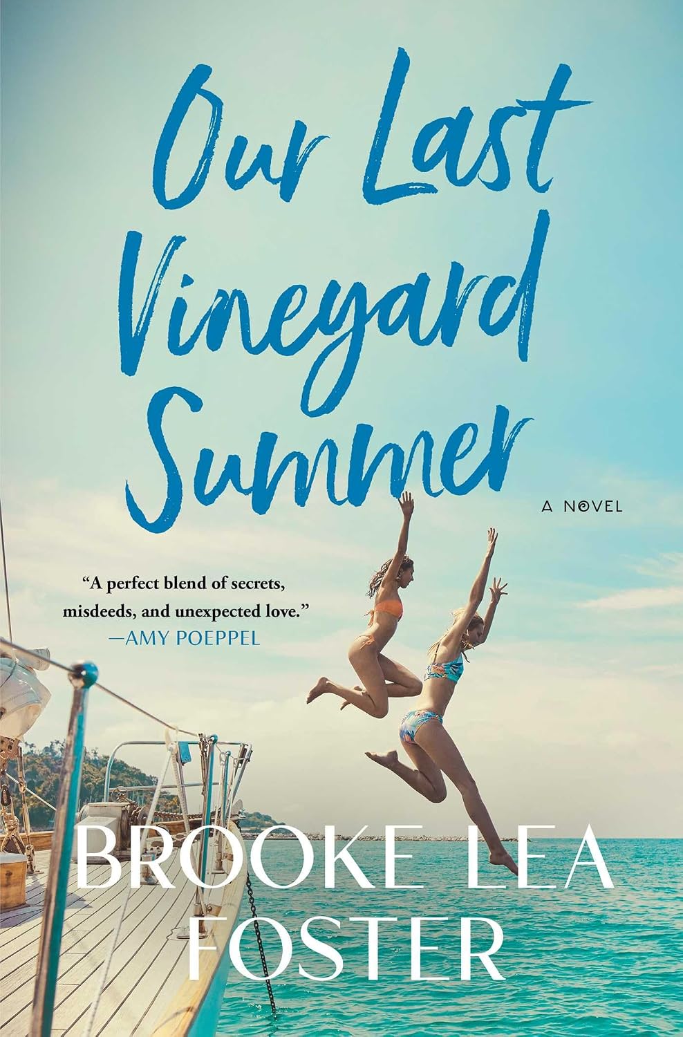 Our Last Vineyard Summer: a Novel