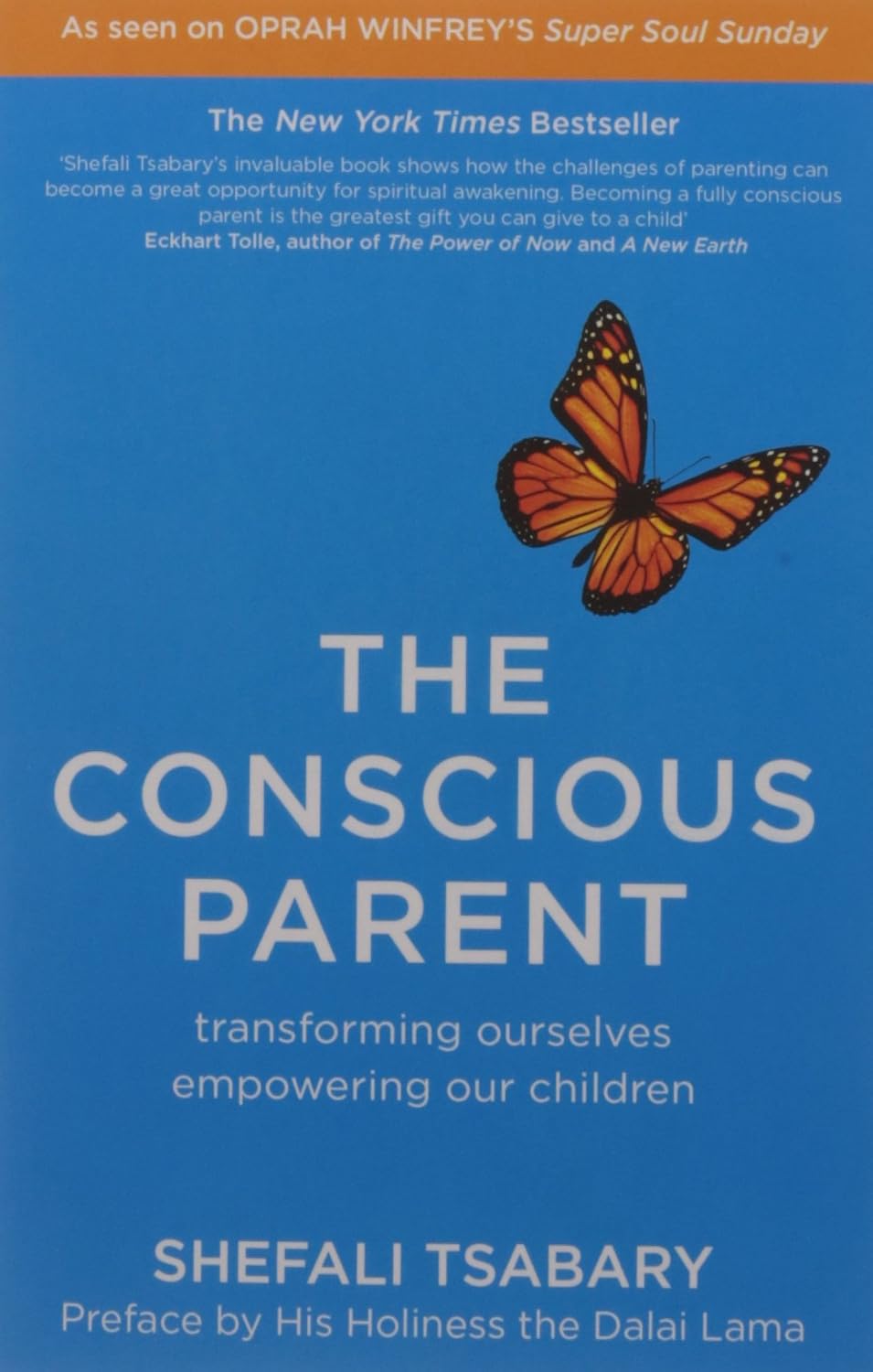 The Conscious Parent