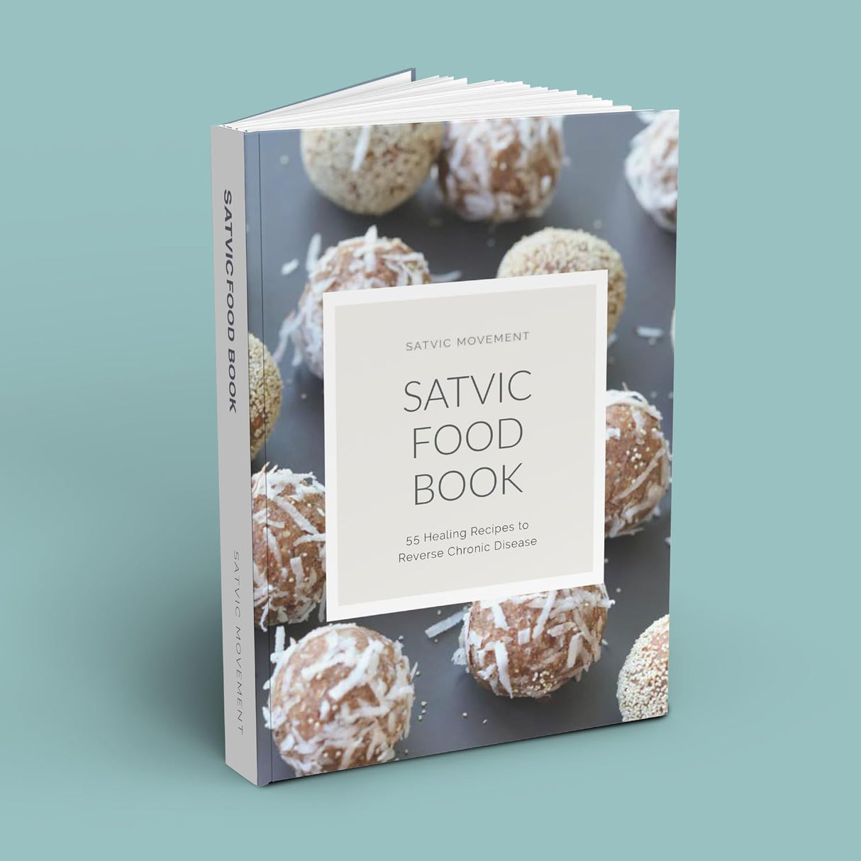 THE FOOD BOOK